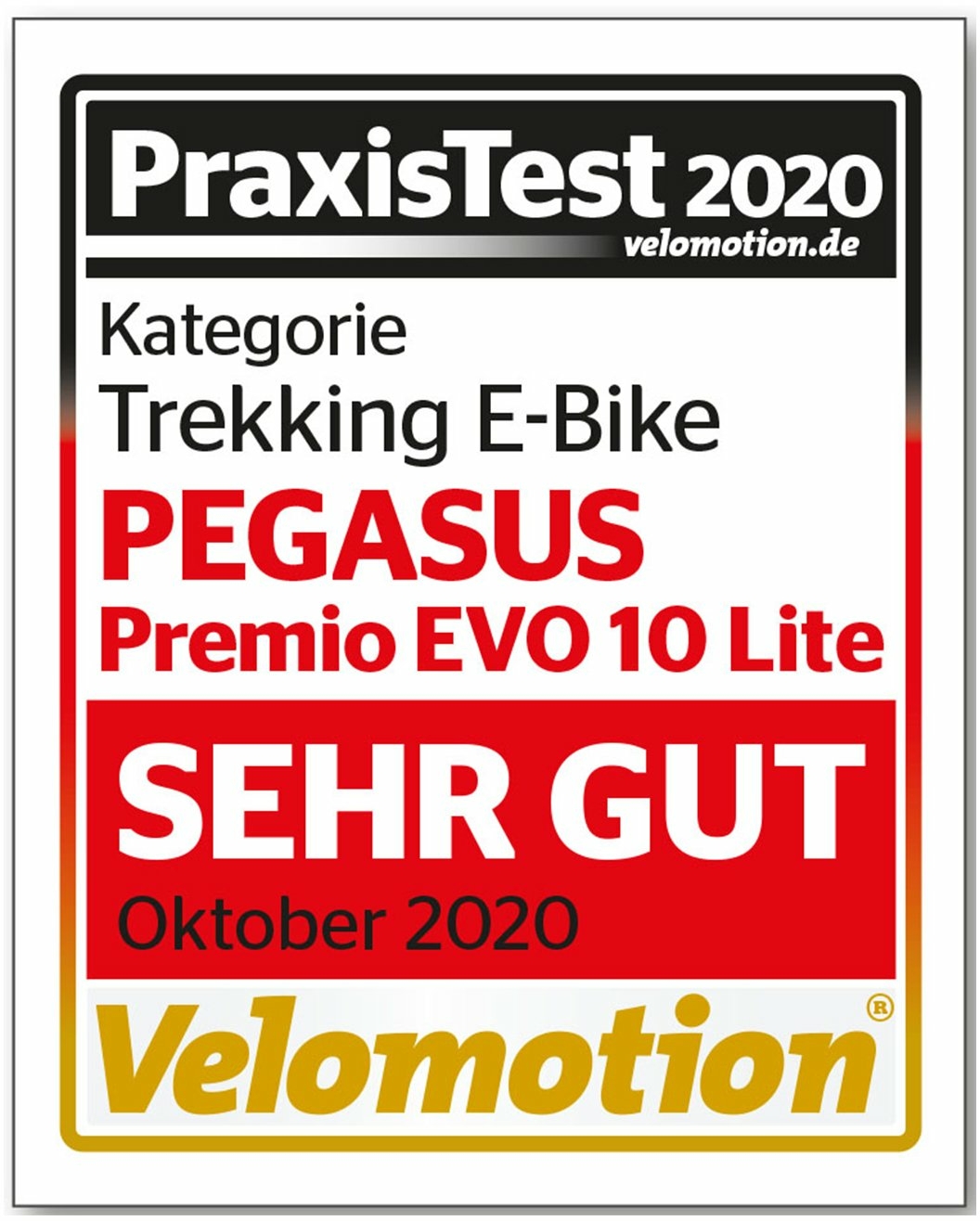 Pegasus Premio EVO 10 Lite (400 Wh), 10 Gang Kettenschaltung, Herrenfahrrad, Diamant, Modell 2021, 28 Zoll